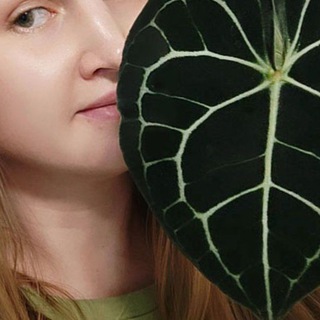 Ирагенная зона 💚