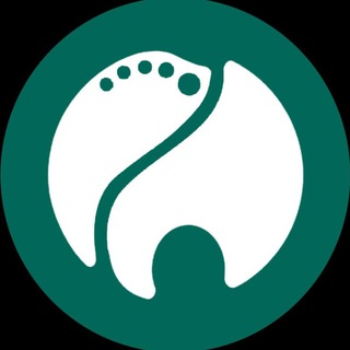 От прикуса до стопы