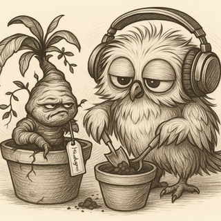 Из города Сов