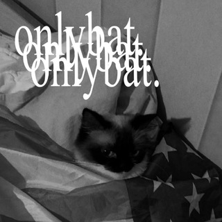 𝐨𝐧𝐥𝐲𝐛𝐚𝐭