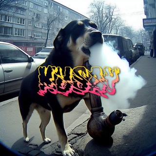 KUSAY | Webm | Memes