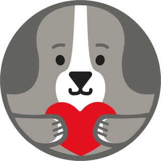 Собаки, которые любят