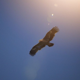 Фундамент Мысли