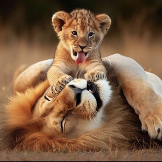 Планета Животных