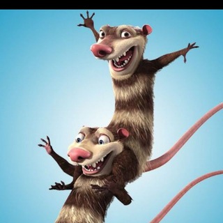 МЕМористин ежедневный