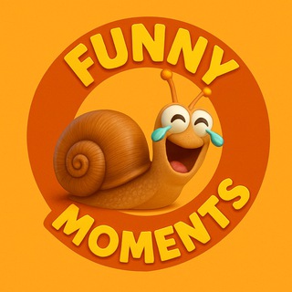 Funny Moments