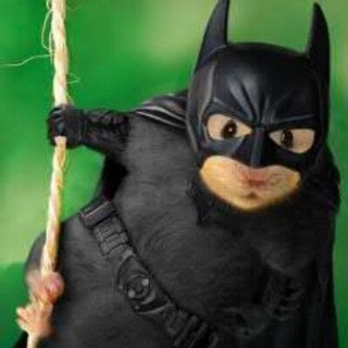 Аморальный камертон