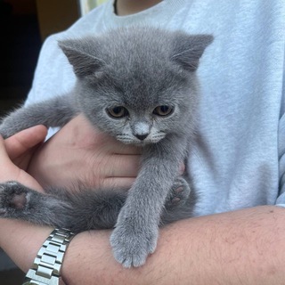 Будни Фунтика 🐈‍⬛