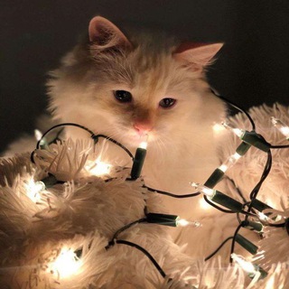 [закрыто] ♫ 𝐻𝑒𝑙𝑝𝑖𝑛𝑔 𝑔𝑎𝑐ℎ𝑒𝑟𝑠 ♫