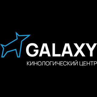 «GALAXY»