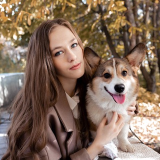 Галчонок пишет