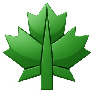 Galleria Cinema Nalchik