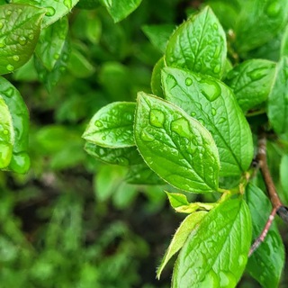 Бережно о здоровье