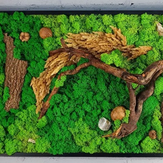 Mастерская Gangarium