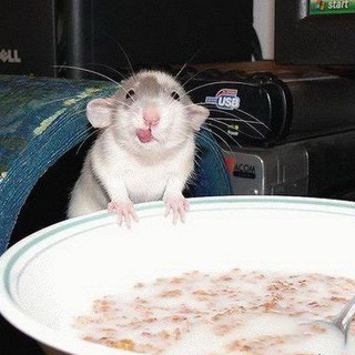 По Ля Ля | мемы и еда