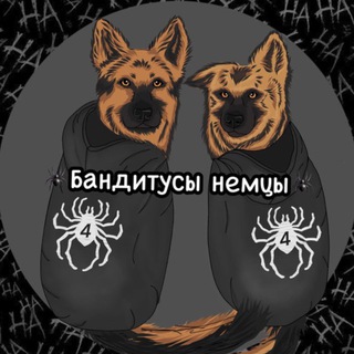 Бандитусы немецкие овчарки