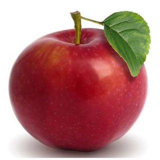 Сад и огород. Дача. Советы агронома