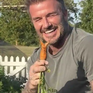 Сажай как Бекхэм