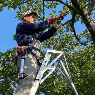 Специалист по обрезке и уходу за садом