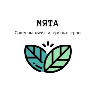 МЯТА