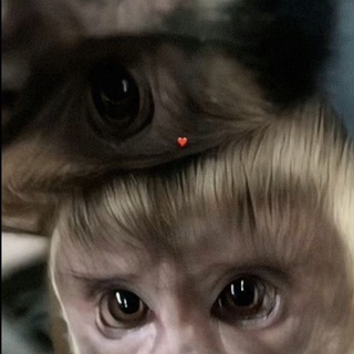 Garderobka | SHOPPING