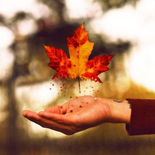 "Душевное равновесие"