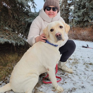 Жизнь с поводырём Гарри🦮