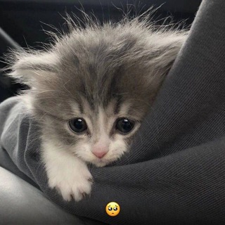 гача клуб/лайф ♡