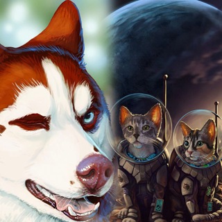 ЯШМАть в КОТОднях