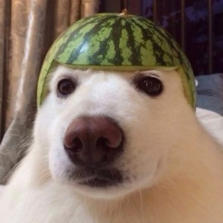 Халява | FunTime