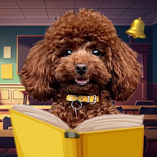 ПРЕДЗАПИСЬ ГАВ-ГАВ ШКОЛА