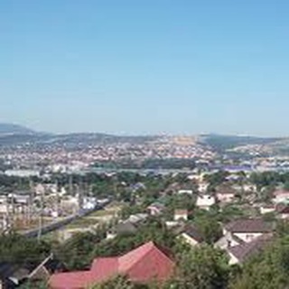 Гайдук_инфо