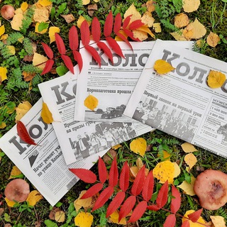 Газета "Колос"