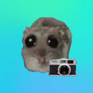 фотачки макаки