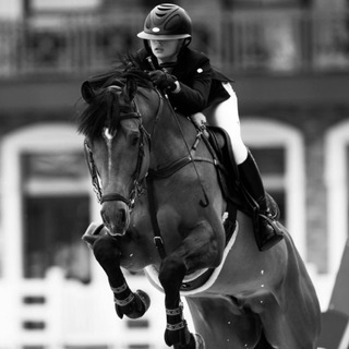 👑𝐆𝐃𝐍 𝐓𝐞𝐚𝐦👑