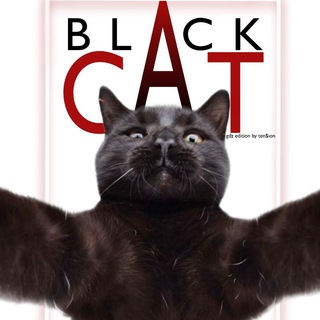 Интернет Урок ГДЗ|11 класс [АРХИВ: 9 - 10 класс]BlackCat