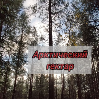 Арктический гектар