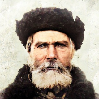 О генеалогии | Евгений Кравченко