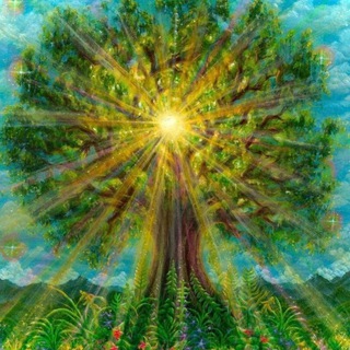 Мой РОД🌳Генеалогия 🌳Сила РОДА