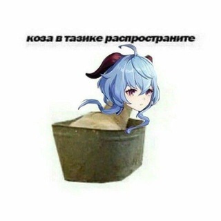 Подвал серки || genshin drop