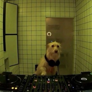 География Шума