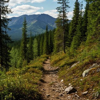 Работа геологам