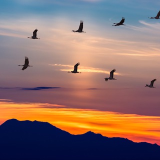 Миграция геофизиков