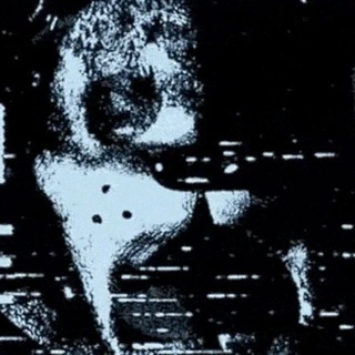 Они смотрят