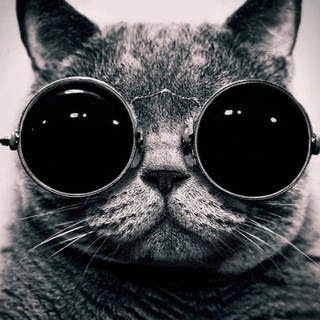 Гештальт-Дон. ОПП ГП МГИ Ростов-на-Дону.