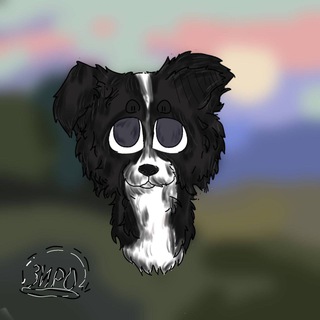 𝑩𝒐𝒓𝒅𝒆𝒓 𝑳𝒆𝒐🐾