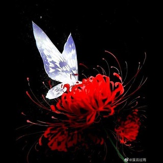 ઈઉ Призрачный город ઈઉ | MXTX