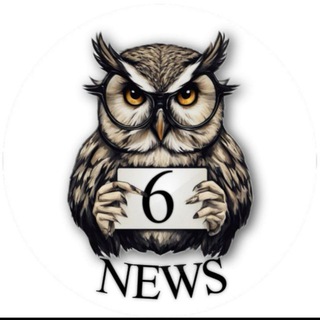 6NEWS