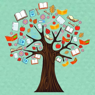 МКОУ «Гимназия № 13»