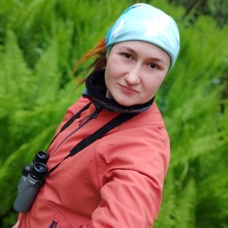 Рыжая Сова 🦉 Бёрдвотчинг